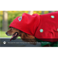 Christmas Dog Costume - Festive Hooded Cape & Green Jumpsuit Outfit (Size : 3XL)