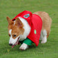 Christmas Dog Costume - Festive Hooded Cape & Green Jumpsuit Outfit (Size : 4XL)