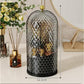 Black Elegant 360 Rotating Makeup Brush Holder & Cosmetic Organizer with Dustproof Dome Lid(Makeup is a prop for shooting and is not included)