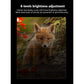 Red Professional HD Digital Night Vision Binoculars - 6X Optical Zoom, IR Illumination, Record 2.5K Video & 48MP Photos
