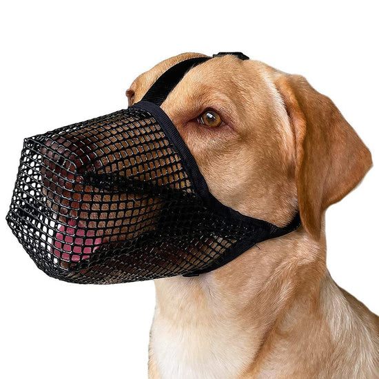 2 Pcs Size L Black Breathable Mesh Dog Muzzle - Anti-Barking, Biting & Chewing - Adjustable & Comfortable Nylon Muzzle for Dogs