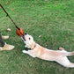 Red Durable Leather Dog Training Ball with Loop Handle - Interactive Bite & Tug Toy for Playful Pups