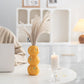 Orange Nordic-Style Minimalist Fruit and Flower Vase - Modern Home Decor