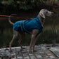 55