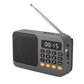 Portable Digital Music Player & FM Radio,4 Playback Modes, LED Flashlight(Gray)