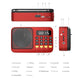 Portable Digital Music Player & FM Radio,4 Playback Modes, LED Flashlight(Gray)