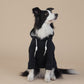 Black Classic Dog Sweatshirt with Hood & Drawstrings - For Large Dogs (Size : 8XL)