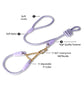 Blue Durable Nylon P-Collar Dog Training Set - Heavy Duty Leash & Martingale Collar (Size : S)