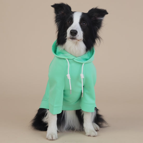 Green Classic Dog Sweatshirt with Hood & Drawstrings - For Large Dogs (Size : 7XL)