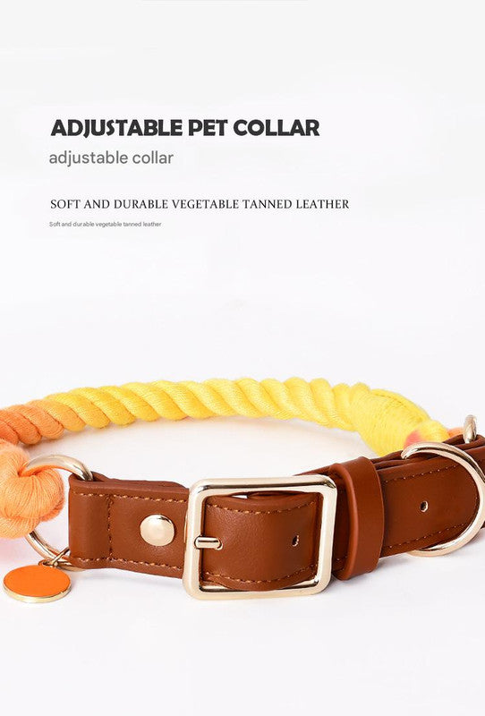 Premium Leather Pet Collar and Leash - Soft, Strong Braided Rope (Pink Purple - Size L)