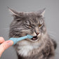 6 x Silicone Pet Toothbrush (3 Fish shape and 3 Bone shape) Green Gentle Food-Grade Silicone Pet Toothbrush - Promotes Healthy Teeth & Gums for Dogs & Cats