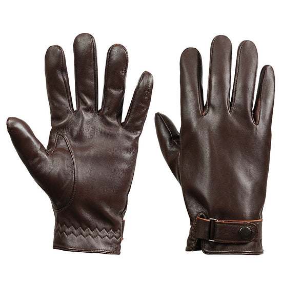 M Dark Brown Premium Men&
