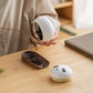 Artisanal Animal-Shaped Ceramic Tea Storage Jar with Gift Box - 140ml Capacity, Textured Finish(Gradient Red)