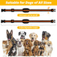 Ultra-Small & Lightweight Dog Training Collar with Remote - 3 Modes, Adjustable Levels, Fits All Sizes(black)