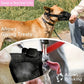 3 Pcs Size M Black Breathable Mesh Dog Muzzle - Soft & Comfortable Guard to Prevent Biting, Allows Panting and Drinking