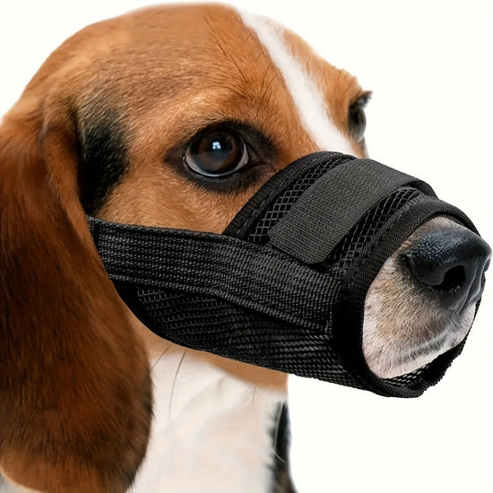 3 Pcs Size XXL Black Breathable Mesh Dog Muzzle - Soft & Comfortable Guard to Prevent Biting, Allows Panting and Drinking