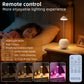Black Creative Tumbler LED Night Light - Rechargeable RGB Desk Lamp with Remote Control - Height Adjustable, Brightness Adjustable, Bedside Ambient Light
