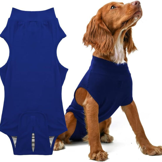 XL Blue Premium Pet Physiological Suit - Comfortable & Breathable Bamboo Modal Recovery Suit