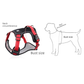 Blue L Adjustable No-Pull Dog Harness and Leash Set - Reflective & Padded Vest for Medium to Large Dogs