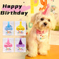 4-Pack Adorable Pet Dog Cat Birthday Party Hat & Bib Set(Yellow & Orange) - Embroidered Bandana Bib & Felt Party Hat, Adjustable Tie-On Dress-Up Accessories