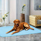 Grey Pet Summer Ice Silk Cooling Mat - Breathable Latex Sleep Pad for Dogs & Cats (70*50cm)