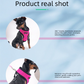 2-Pcs Blue Adjustable Pet Harness with Leash – Breathable Mesh Design for Small Dogs, Cats, Chickens, Ducks & More | Anti-Escape, 360° Support, Lightweight & Comfortable in Australia(Size:L)