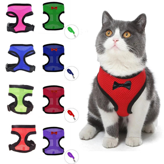 2-Pcs Pink Adjustable Pet Harness with Leash – Breathable Mesh Design for Small Dogs, Cats, Chickens, Ducks & More | Anti-Escape, 360° Support, Lightweight & Comfortable in Australia(Size:XL)
