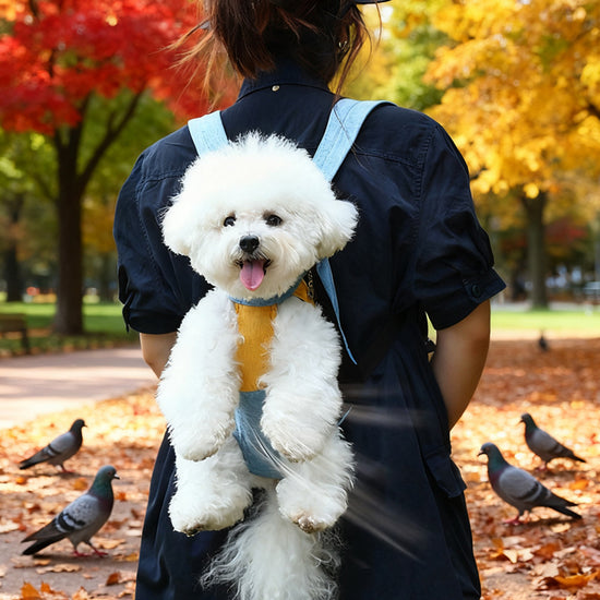 Yellow and white two-tone style Pet Carrier Backpack Front Chest Pack Legs Out Breathable Mesh for Small Dogs Cats Hiking Travel Hands Free Adjustable Design(Size:L)