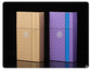 2 Pack Slim Cigarette Case Hard Shell Holder for 40 Cigarettes Durable ABS Plastic Crush Proof Box with Spring Clip Moisture Resistant Pocket Container Gold and purple