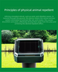 Solar-Powered Sonic Snake and Rodent Repeller Ground Stake - Outdoor Waterproof Ground Vibration Pest Deterrent Device - Ultrasonic Control for Moles, Voles, and House Mice - Garden Lawn Protection - Green Octagon Top Model