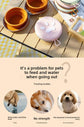 Portable Silicone Double Pet Bowl - Collapsible Travel Dog Feeder for Food & Water - 2 x 450ml Capacity with Zipper Case - Brown