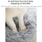 Grey Cozy Donut Long Plush Cat & Dog Calming Bed(Diameter 50cm) - Double-Layer PP Cotton Filling Warming Pet Bed with Anti-Slip Base & Free Blanket