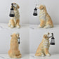 Solar Dog Garden Statue with Lantern Waterproof Resin Puppy Ornament for Outdoor Patio Pathway Backyard Decoration Australian Pet Lovers(A)