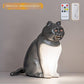 Silver Lucky Cat Rechargeable Desk Lamp with Sound and Aromatherapy Function Remote Control Eye Care Night Light for Local Home Bedroom and Modern Living Areas