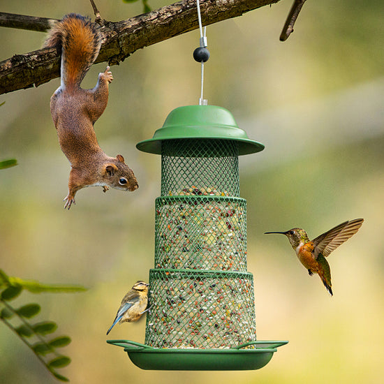 Square Retractable Metal Hanging Bird Feeder 3-Tier Mesh Design Weatherproof Outdoor Wild Bird Feeding Station for Local Garden and Backyard Support