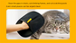 2 PCS Pet Hair Remover Mitt Reusable Static Lint Brush Glove for Cat & Dog Fur Cleaning Furniture Clothes & Bedding