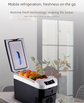 10L Portable Electric Cooler & Warmer Car Fridge with Digital Display 12V/240V Dual Power for Camping Road Trips & Home Office Brown