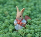 Garden Style Backpack Bunny Succulent Planter Decoration – Cute Rabbit Animal Figurine Resin Craft for Balcony and Pot Plant