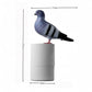 Adorable White Pigeon Smart Motion Sensor Foam Pump - Touchless Hand Washer with Anti-Glare Technology for Outdoor & Bright Light