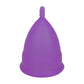 2PCS Reusable Medical Grade Silicone Menstrual Cup(L Size) & 2PCS Matching Sterilizer Box - Microwave Safe Disinfector Case, Heat Resistant 130°C (Purple Set)