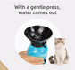 Blue 500ML Portable Pet Dog Water Bottle with 10cm Wide Bowl - Leakproof Travel Drinker for Outdoor Walking and Hiking