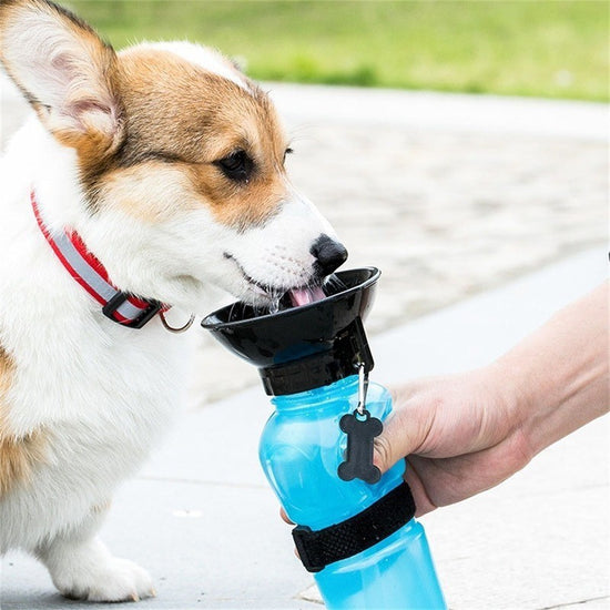 Brown 500ML Portable Pet Dog Water Bottle with 10cm Wide Bowl - Leakproof Travel Drinker for Outdoor Walking and Hiking