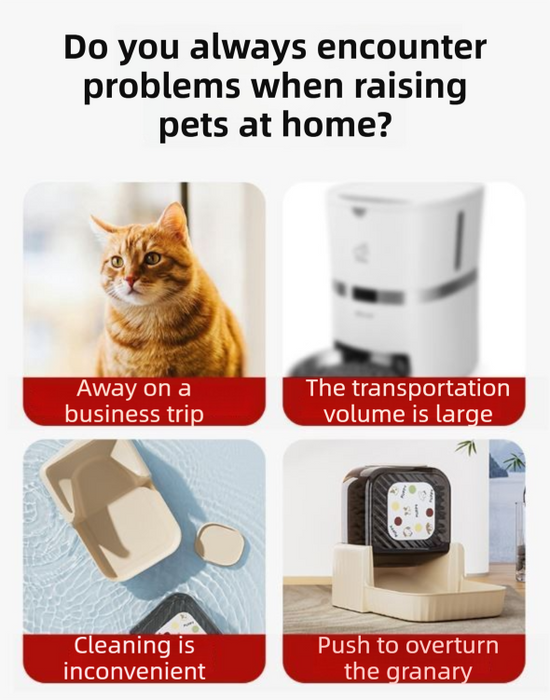 Black Silent Automatic Pet Single Meal Dispenser with Rotary Buckle - Longest 48H Scheduled and Long Battery Life, Detachable for Easy Cleaning