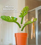 2 Set Mirror-Mount Half-Leaf Monstera Bathroom Organizer (Vase + 3 Leaves) - Decorative Home Vanity Set