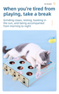 Whack-A-Mole Cat Toy (Figurine Mole & 5 Hole) - Interactive Puzzle Box