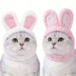 2 Pcs White Adorable Bunny Ears Cat Hat – Soft Plush Pet Costume Headband for Cats