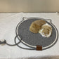 Grey Durable Cat Scratching Mat with Attached Toy Ball - Washable and Multi-Functional, Ideal for Cats&