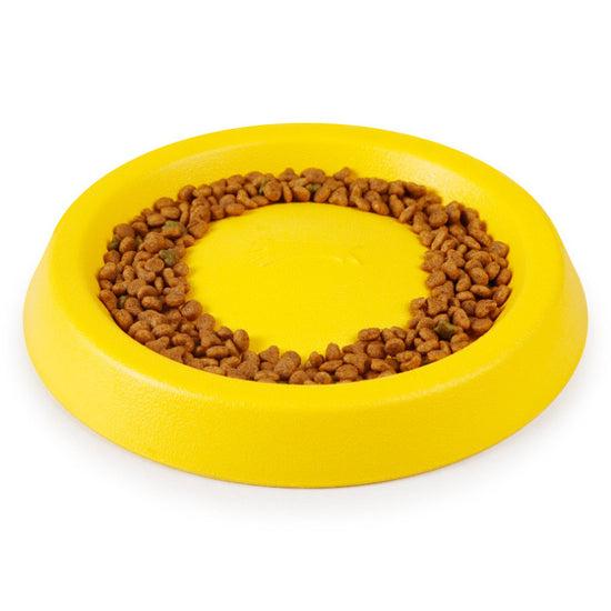 EVA Dog Toy Set – 4-Piece Interactive Play Kit for Large Dogs with Floating Disc, Pull Ring, Chew Ball & Tug Rope