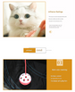 Black Y-shaped connector Cat Tunnel Play Set with Collapsible Design, Interactive Ball & Durable Fabric – Ideal for Indoor Cats to Exercise and Explore