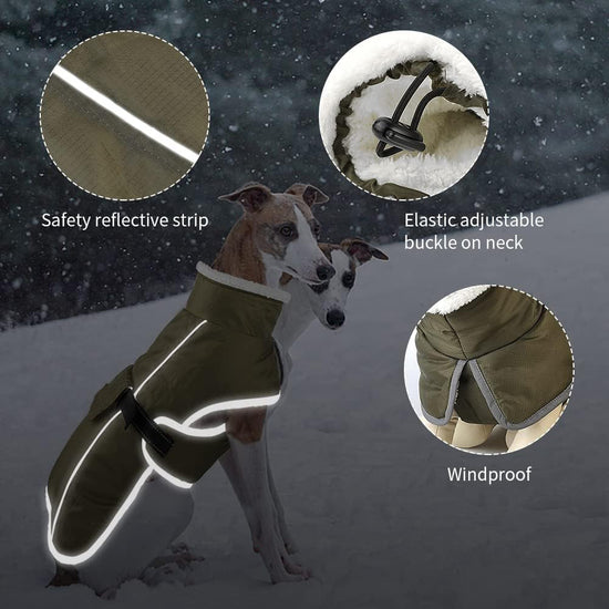 Green Dog Winter Jacket – Warm, Windproof & Waterproof Pet Coat with Fleece Lining and Reflective Strips for Cold Weather(Size: S)